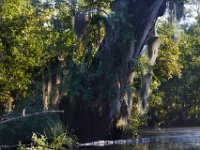 08-03-16-Indiantown Creek-23125