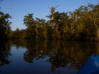 08-03-16-Indiantown Creek-23136