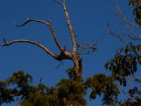 08-03-16-Indiantown Creek-23137
