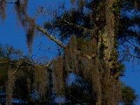 08-03-16-Indiantown Creek-23157