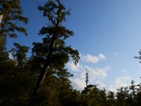 08-03-16-Indiantown Creek-23256