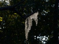 08-03-16-Indiantown Creek-23263