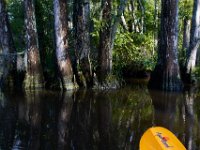 08-03-16-Indiantown Creek-23320