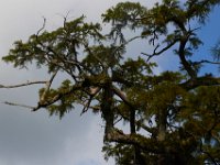 08-03-16-Indiantown Creek-23447