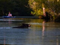 08-03-16-Indiantown-Creek-23241-email