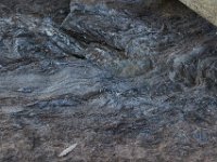08-13-16-Rocky Gorge-24286