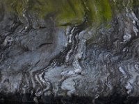08-13-16-Rocky Gorge-24306
