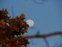08-20-16-Mattawoman Creek-24571