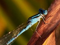 08-20-16-Mattawoman Creek-24639