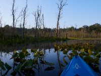 08-20-16-Mattawoman Creek-24767