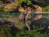 08-20-16-Mattawoman Creek-24823