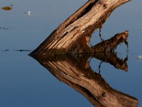 08-20-16-Mattawoman Creek-24838
