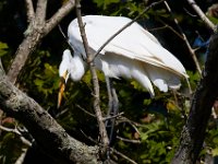 08-20-16-Mattawoman Creek-24977