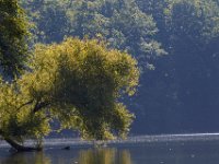 08-27-16-Triadelphia-25405