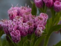 09-05-16-Nanjemoy-25505