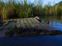 09-05-16-Nanjemoy-25718