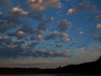 09-11-16-Mattawoman-26023