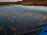 09-11-16-Mattawoman-26031