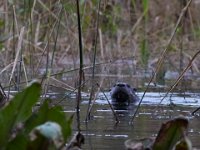 09-17-16-Piscataway-26388