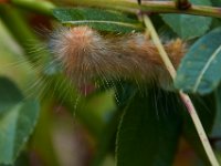 09-17-16-Piscataway-26435