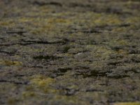 09-17-16-Piscataway-26607
