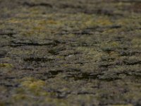 09-17-16-Piscataway-26608