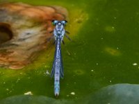 09-24-16-Smithville lake-27073