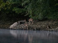 09-25-16-Rocky Gorge