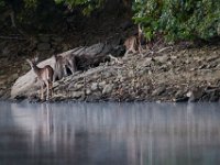 09-25-16-Rocky Gorge-27296