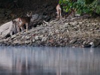 09-25-16-Rocky Gorge-27303