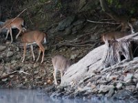 09-25-16-Rocky Gorge-27316