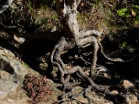 09-25-16-Rocky Gorge-27482