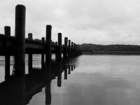 10-02-16-Nanjemoy-28044