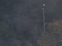 10-15-16-Federalsburg-VFW-28223