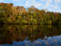 10-15-16-Federalsburg-VFW-28425