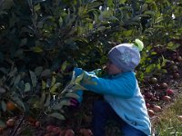 10-22-16-Larriland Farms-28555