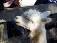 10-22-16-Larriland Farms-28609