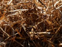 10-22-16-Larriland Farms-28758