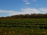 10-22-16-Larriland Farms-28800
