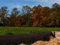 10-22-16-Larriland Farms-28804