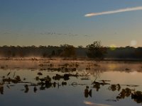 10-29-16-Mattawoman-20009