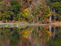 10-29-16-Mattawoman-20360