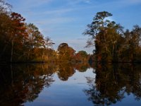 10-30-16-Broad Creek De-20586