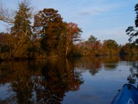 10-30-16-Broad Creek De-20608
