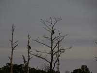 11-06-16-Blackwater