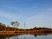 11-06-16-Blackwater-20992