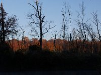 11-13-16-Piscataway-21722