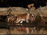 11-13-16-Piscataway-22132