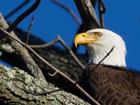 11-13-16-Piscataway-22274
