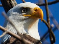 11-13-16-Piscataway-22288